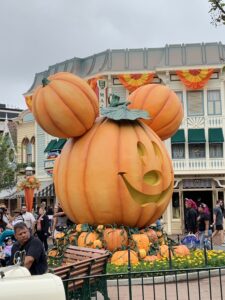 Along Main Street, U.S.A. in Disneyland California, especially during the fall season for events like the Main Street Pumpkin Festival, you'll find a delightful array of intricately carved pumpkins that add to the festive atmosphere of the park. Here are some highlights: Mickey Pumpkin: The iconic centerpiece of the Main Street Pumpkin Festival is the large pumpkin carved to resemble Mickey Mouse. This pumpkin is prominently displayed and serves as a popular photo spot for guests. Themed Pumpkins: Throughout Main Street, you'll discover numerous pumpkins creatively carved with various Disney characters and themed designs. These pumpkins are often placed near storefronts, on porches, and in windows, adding a whimsical touch to the street's nostalgic charm. Hidden Elvis Pumpkin: One of the hidden gems among the pumpkins along Main Street is the "Hidden Elvis Pumpkin." This pumpkin is usually tucked away in a less conspicuous spot, challenging guests to find it amidst the other decorations. It's a fun Easter egg for Elvis Presley fans and adds an element of scavenger hunt excitement to exploring Main Street during the pumpkin festival. Atmosphere and Decor: Beyond pumpkins, Main Street is adorned with fall-themed decorations such as autumn leaves, bunting, and other seasonal embellishments. The overall ambiance is cozy and celebratory, capturing the spirit of autumn and Halloween. Visiting Main Street during the fall season at Disneyland California offers guests a chance to immerse themselves in the magic of Disney's festive decorations, with the pumpkins playing a central role in creating a memorable and enchanting experience.