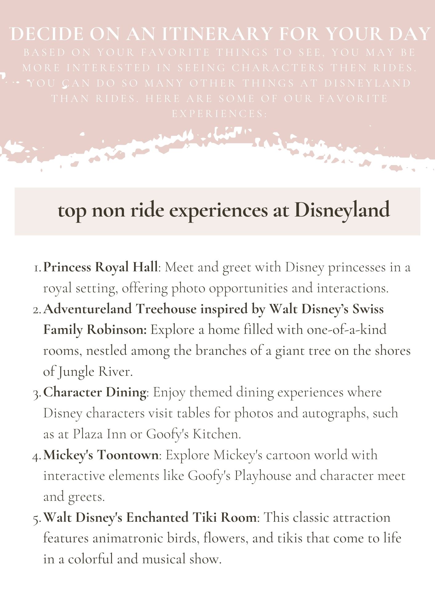 Disneyland Guide Tips and Tricks to having the best day at Disneyland